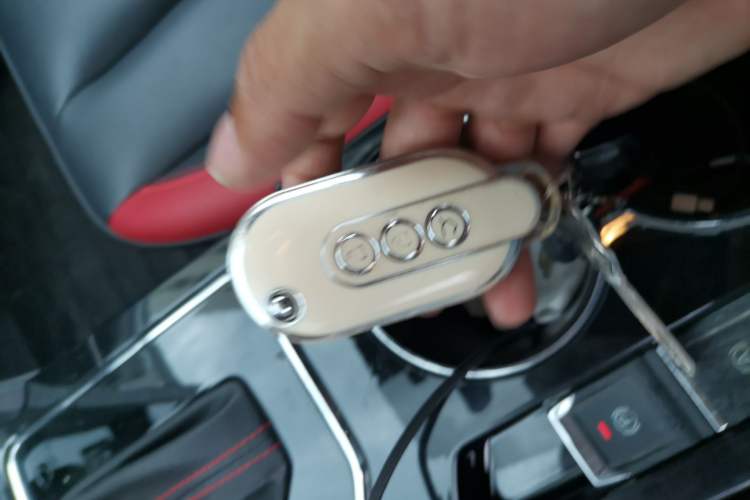 Used Venucia D60 2019 1.6L XL CVT Smart Connect Elite Edition Vehicle Key