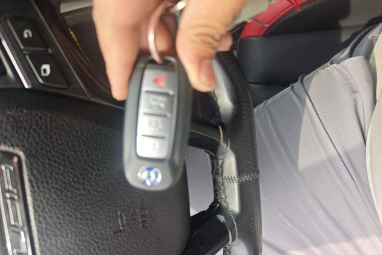Used Venucia D60 2019 100 000 Glory 1.6L XL Manual Chenku Edition China VI Vehicle Key