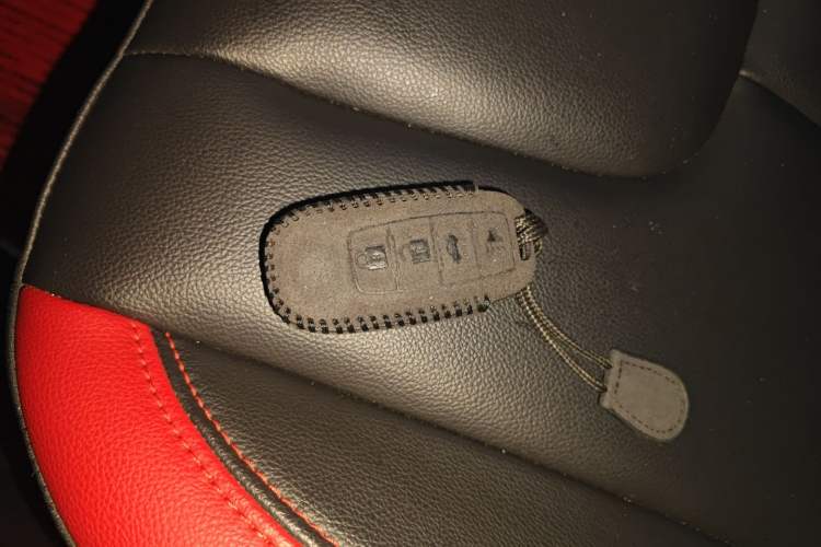 Used Venucia D60 2020 1.6L XL CVT Enjoyment Edition Vehicle Key