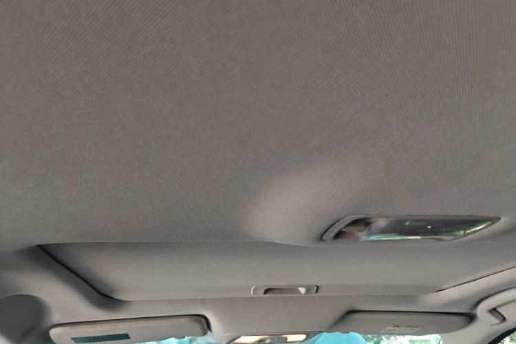 Used Venucia D60 2020 1.6L XL CVT Enjoyment Edition Headliner