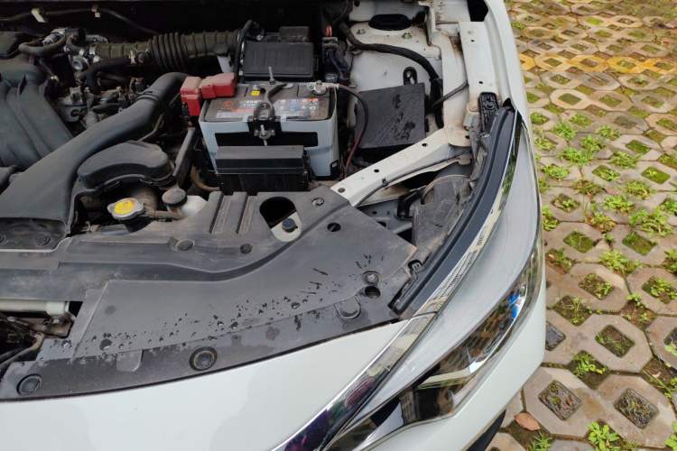 Used Venucia D60 2020 1.6L Entry Manual Comfort Edition Engine Bay Left