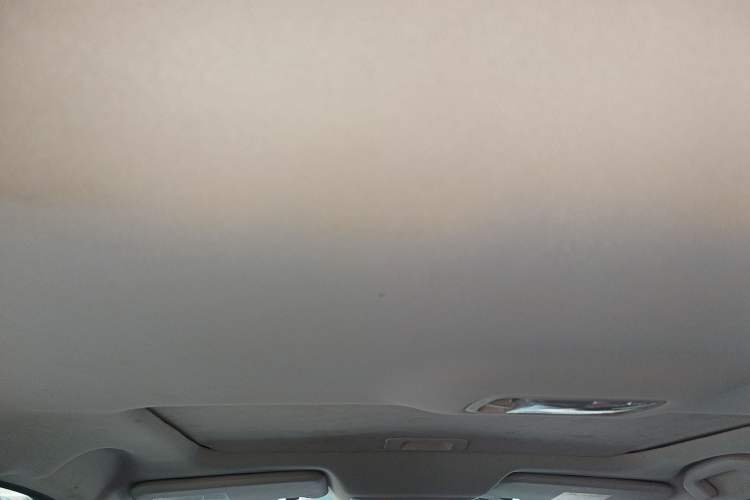 Used Venucia D60 2020 1.6L XL CVT Enjoyment Edition Headliner