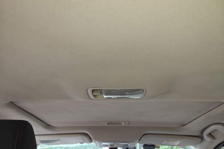 Used Venucia D60 2020 1.6L XL CVT Enjoyment Edition Headliner
