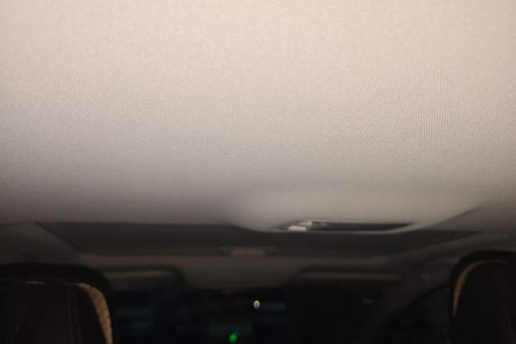 Used Venucia D60 2020 1.6L XL CVT Enjoyment Edition Headliner