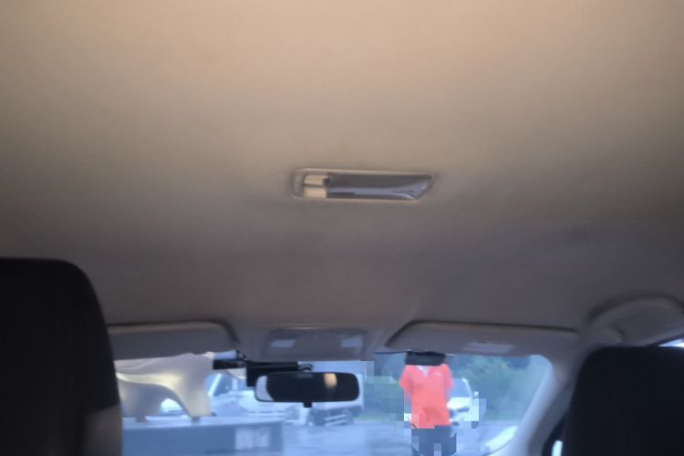 Used Venucia D60 2020 1.6L XE CVT Enjoyment Edition Headliner