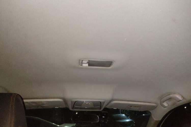 Used Venucia D60 2020 1.6L XE CVT Enjoyment Edition Headliner