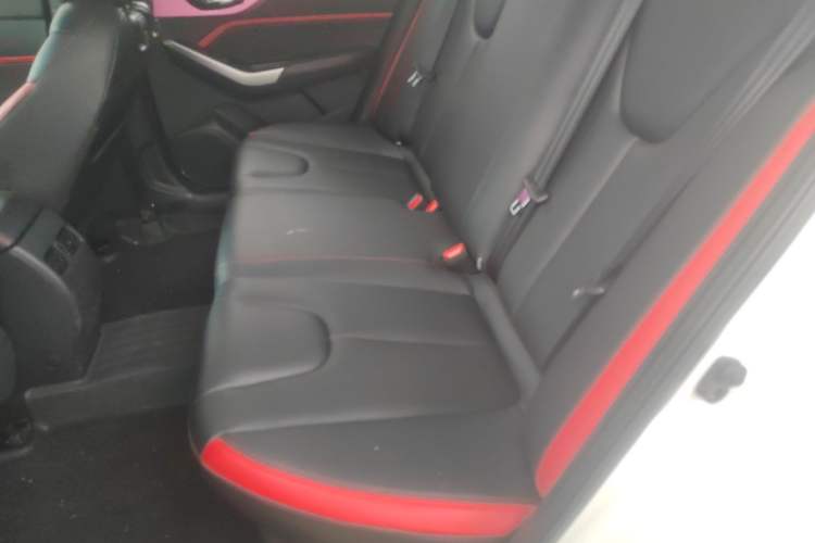 Used Venucia D60 2020 1.6L XL CVT Enjoyment Edition Interior 1