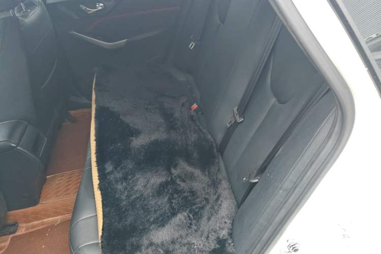 Used Venucia D60 2020 1.6L Entry Manual Comfort Edition Left Rear Seat
