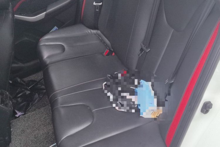 Used Venucia D60 2020 1.6L XE CVT Enjoyment Edition Left Rear Seat