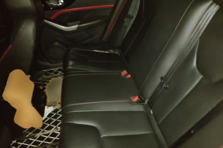 Used Venucia D60 2020 1.6L XE CVT Enjoyment Edition Left Rear Seat