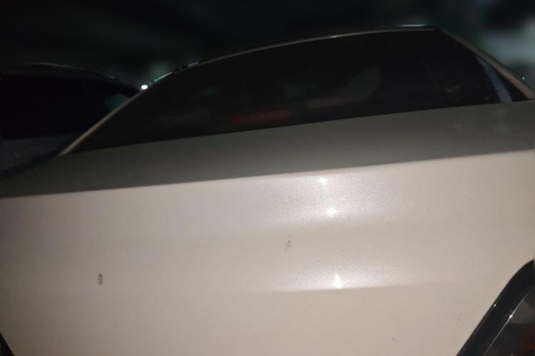 Used Venucia D60 2020 1.6L XL CVT Enjoyment Edition Rear