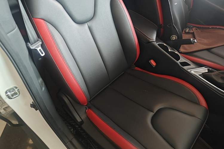 Used Venucia D60 2020 1.6L XE CVT Enjoyment Edition Right Front Seat