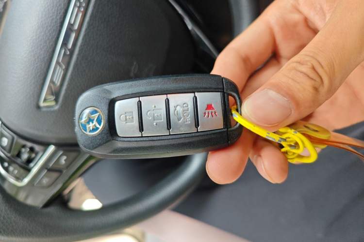 Used Venucia D60 2020 1.6L XL CVT Enjoyment Edition Vehicle Key