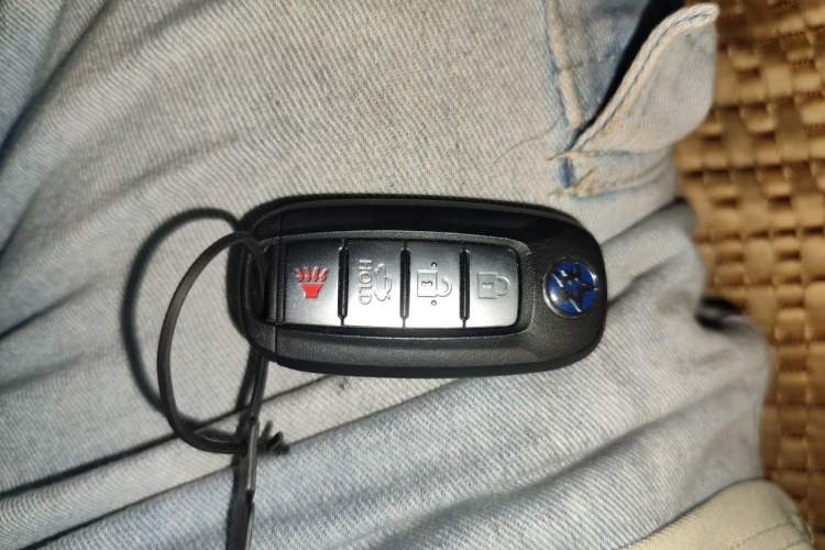 Used Venucia D60 2020 1.6L XL CVT Enjoyment Edition Vehicle Key