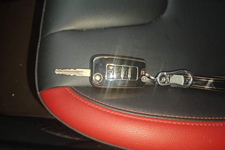 Used Venucia D60 2020 1.6L XE CVT Enjoyment Edition Vehicle Key