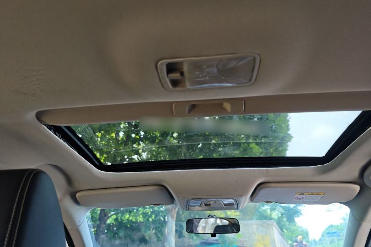 Used Venucia D60 2021 PLUS 1.6L XL CVT Yue Ling Edition Headliner