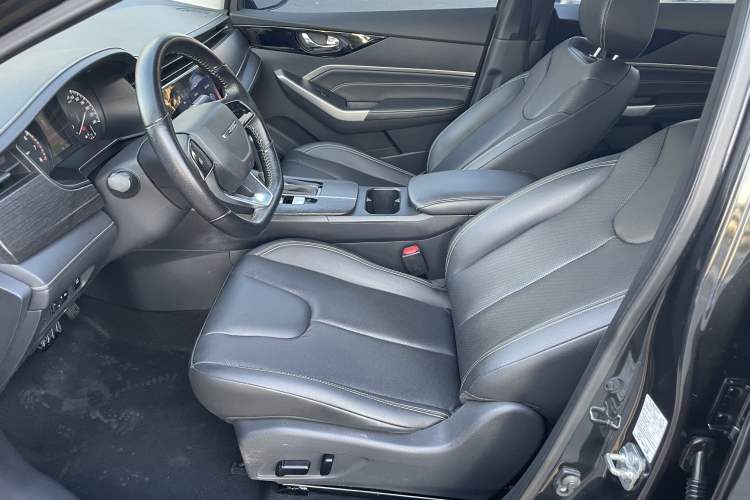 Used Venucia D60 2021 PLUS 1.6L XV CVT Smart Edition Interior 1