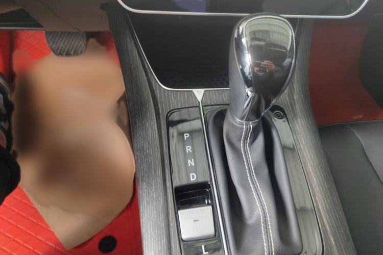 Used Venucia D60 2021 PLUS 1.6L XL CVT Yue Ling Edition Interior 6