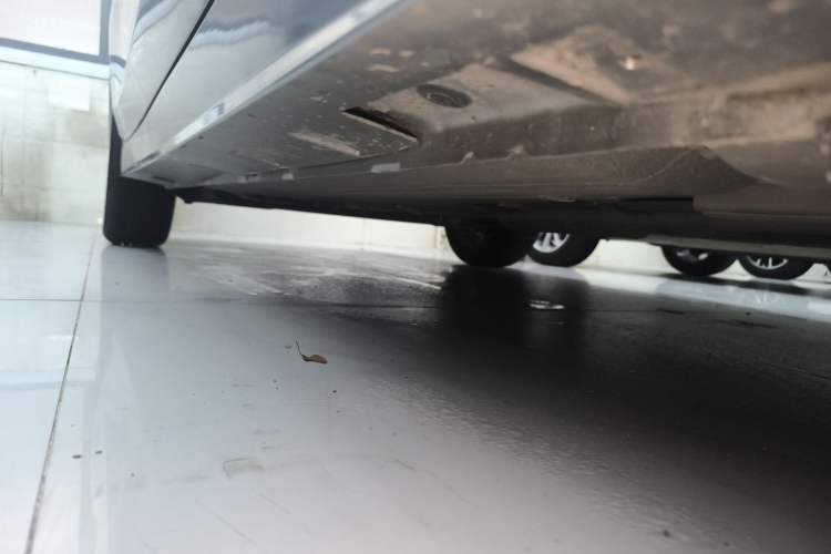 Used Venucia D60 2021 PLUS 1.6L XL CVT Yue Ling Edition Right Side Sill