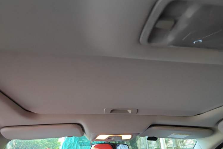 Used Venucia D60 2021 PLUS 1.6L XV CVT Smart Edition Headliner