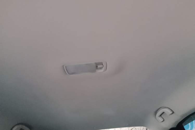 Used Venucia D60 2021 PLUS 1.6L XE CVT Trendy Edition Headliner