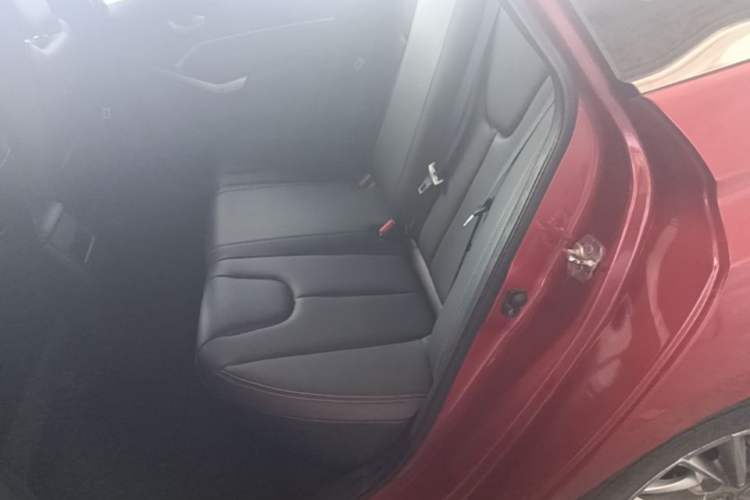 Used Venucia D60 2021 PLUS 1.6L XE CVT Trendy Edition Left Rear Seat