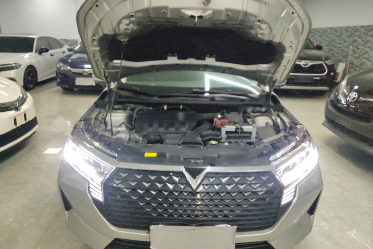 Used Venucia D60 2021 PLUS 1.6L XL CVT Yue Ling Edition Engine Bay