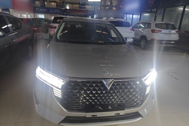 Used Venucia D60 2021 PLUS 1.6L XL CVT Yue Ling Edition Front