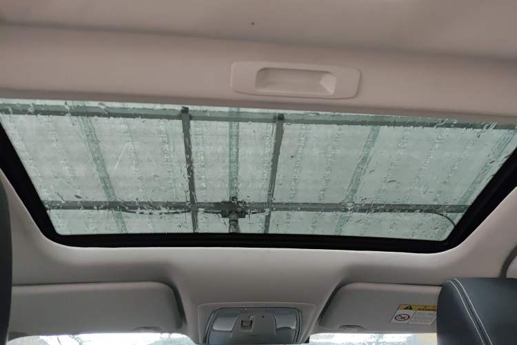 Used Venucia D60 2021 PLUS 1.6L XL CVT Yue Ling Edition Headliner