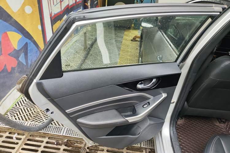 Used Venucia D60 2021 PLUS 1.6L XL CVT Yue Ling Edition Left Rear Door Interior