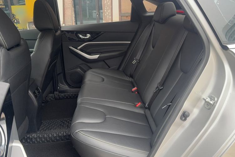 Used Venucia D60 2021 PLUS 1.6L XL CVT Yue Ling Edition Left Rear Seat
