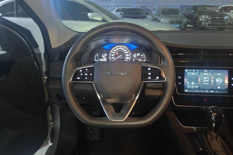 Used Venucia D60 2021 PLUS 1.6L XL CVT Yue Ling Edition Steering Wheel