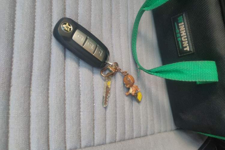 Used Venucia D60 2021 PLUS 1.6L XL CVT Yue Ling Edition Vehicle Key