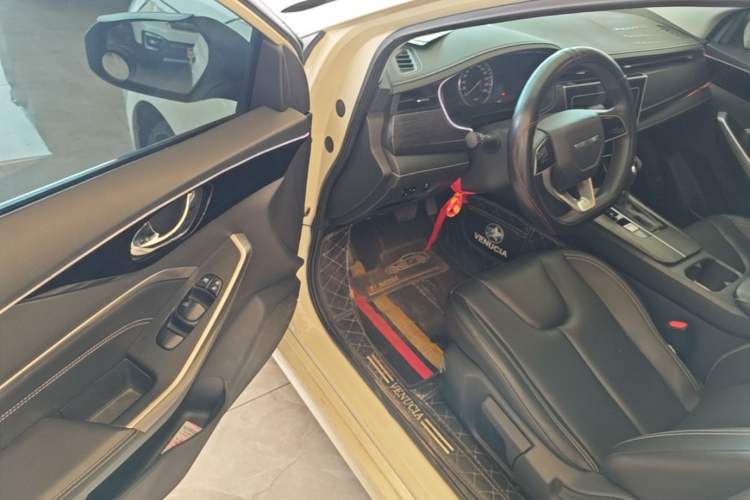 Used Venucia D60 2021 PLUS 1.6L XL CVT Yue Ling Edition Driver Seat