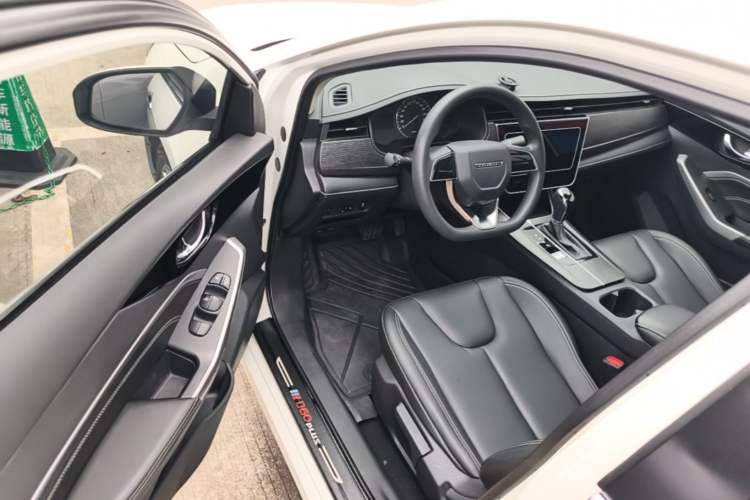 Used Venucia D60 2021 PLUS 1.6L XL CVT Yue Ling Edition Driver Seat