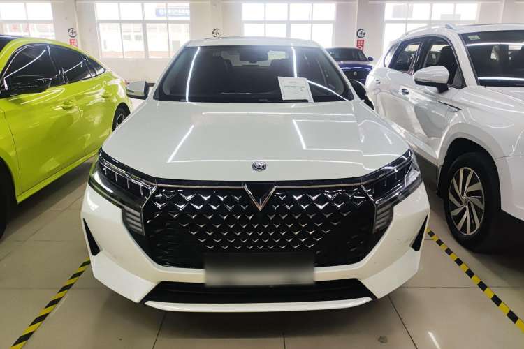 Used Venucia D60 2021 PLUS 1.6L XL CVT Yue Ling Edition Exterior 1
