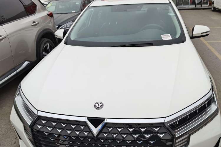 Used Venucia D60 2021 PLUS 1.6L XL CVT Yue Ling Edition Exterior 6
