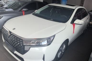 Used Venucia D60 2021 PLUS 1.6L XL CVT Yue Ling Edition