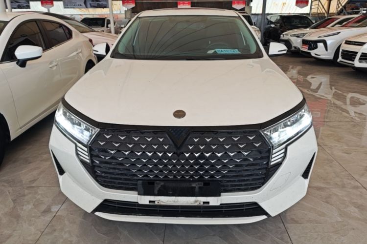 Used Venucia D60 2021 PLUS 1.6L XL CVT Yue Ling Edition Front