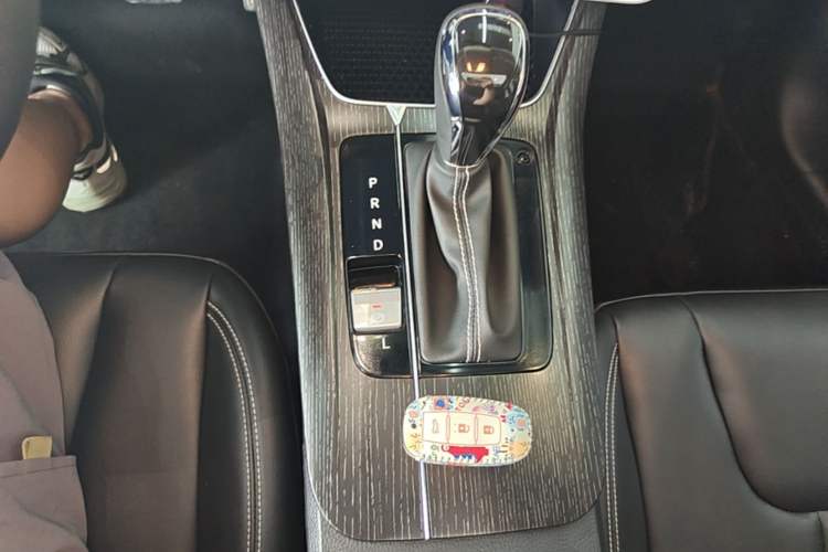 Used Venucia D60 2021 PLUS 1.6L XL CVT Yue Ling Edition Gear Lever