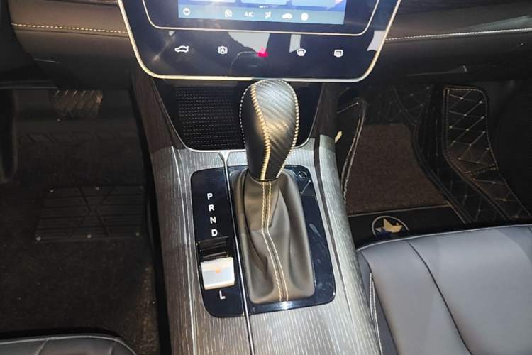 Used Venucia D60 2021 PLUS 1.6L XL CVT Yue Ling Edition Gear Lever