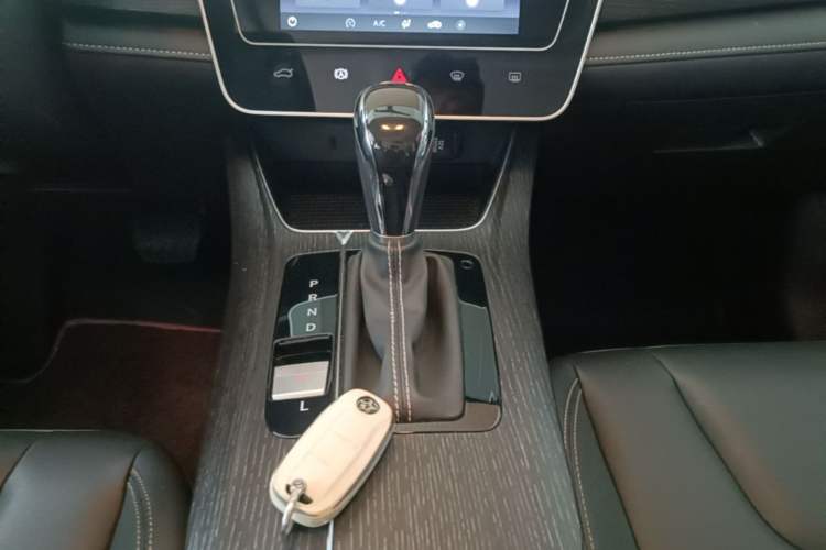 Used Venucia D60 2021 PLUS 1.6L XL CVT Yue Ling Edition Gear Lever