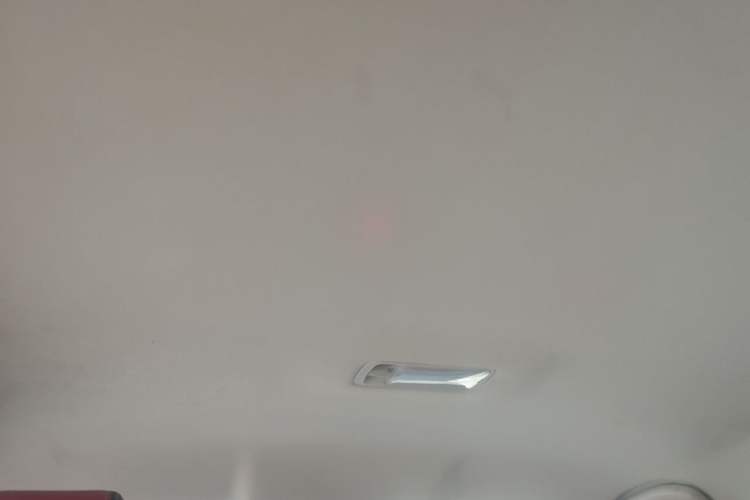 Used Venucia D60 2021 1.6L Entry Manual Comfort Edition Headliner