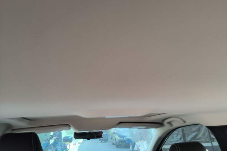 Used Venucia D60 2021 PLUS 1.6L XV CVT Smart Edition Headliner