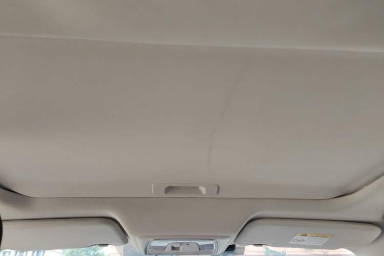 Used Venucia D60 2021 PLUS 1.6L XL CVT Yue Ling Edition Headliner