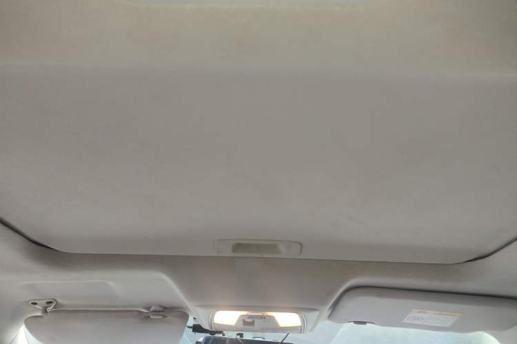 Used Venucia D60 2021 PLUS 1.6L XL CVT Yue Ling Edition Headliner