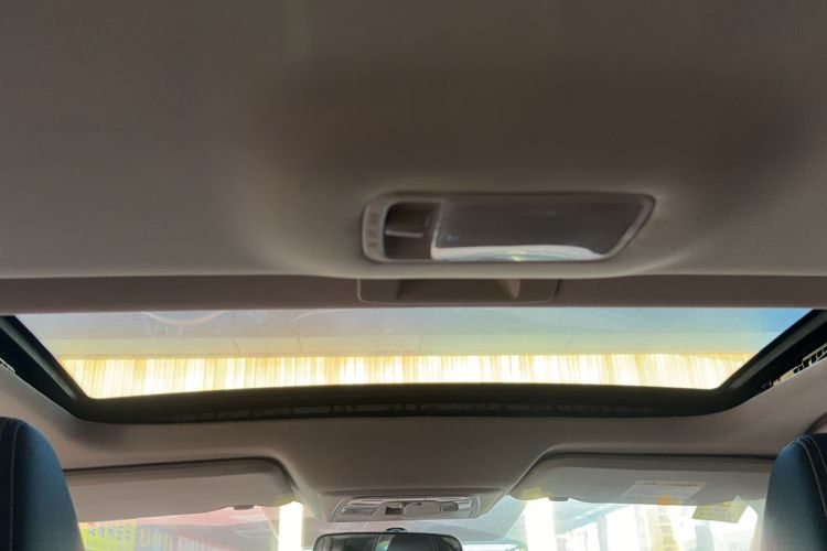Used Venucia D60 2021 PLUS 1.6L XV CVT Smart Edition Headliner