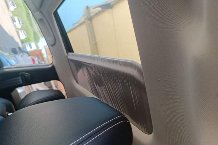 Used Venucia D60 2021 PLUS 1.6L XL CVT Yue Ling Edition Headliner