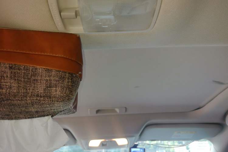 Used Venucia D60 2021 PLUS 1.6L XL CVT Yue Ling Edition Headliner