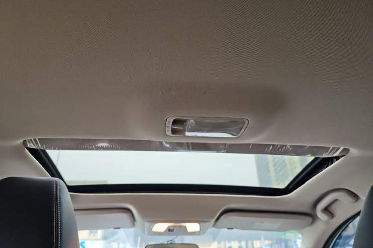 Used Venucia D60 2021 PLUS 1.6L XL CVT Yue Ling Edition Headliner